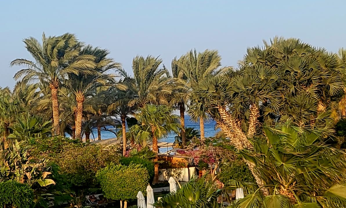 Gartenanlage Brayka Bay Resort