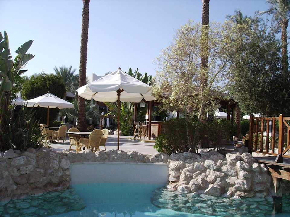 Garten - & Poolanlage Ghazala Gardens