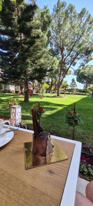 Gastro Papillon Ayscha