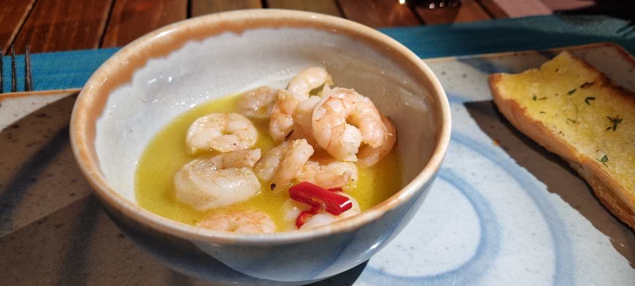 Gastro JAZ Elite Asteria