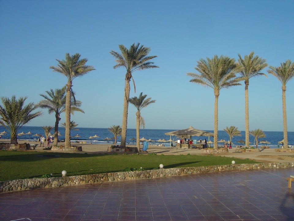 Poolanlage mit Blick zum Strand, Strandbar Three Corners Sea Beach Resort