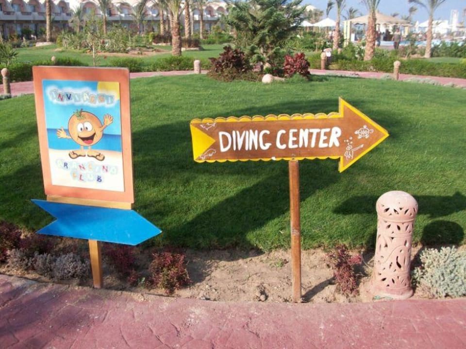 Hier geht es zur Tauchschule Three Corners Sea Beach Resort