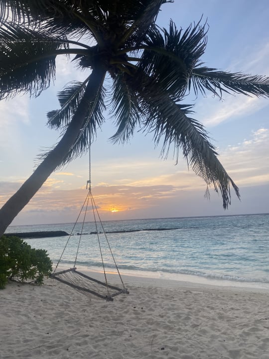 Ausblick Summer Island Maldives
