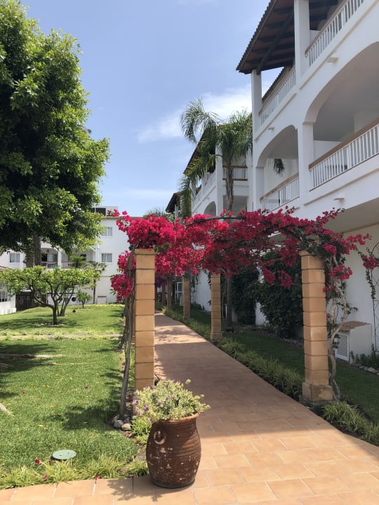 Gartenanlage Alcudia Garden Aparthotel