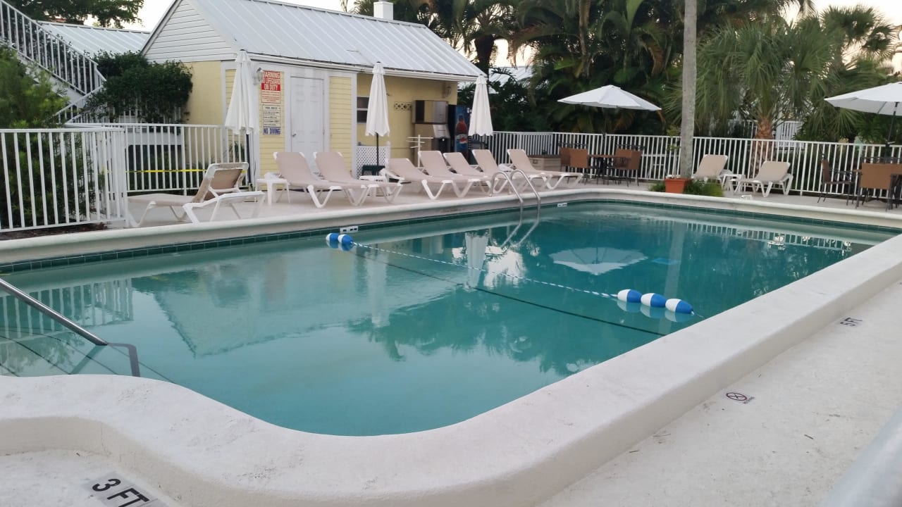 Pool Hotel Lemon Tree Inn