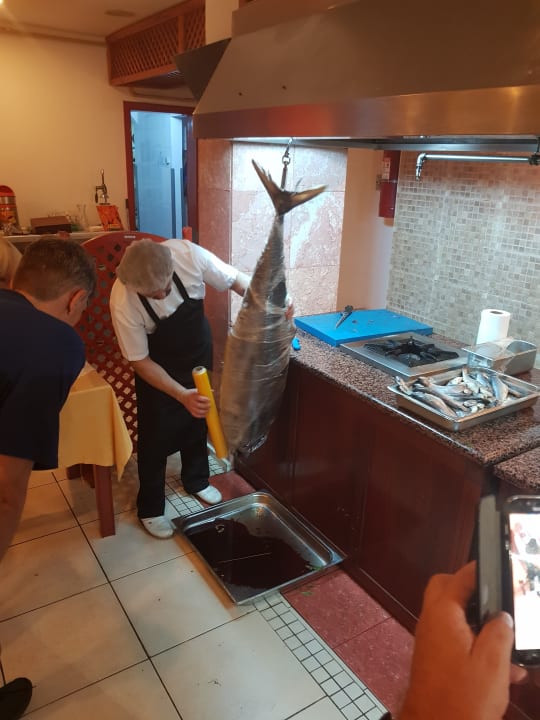 Gastro Asteria Collection Side