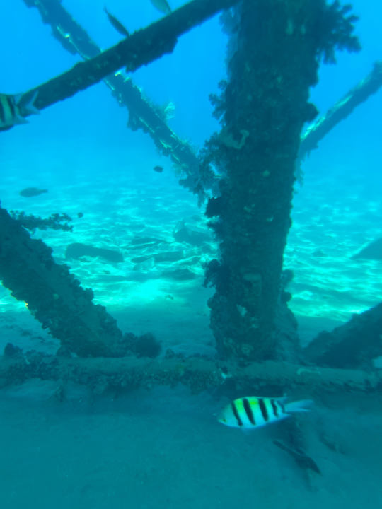 Sonstiges Amarina Abu Soma Resort & Aquapark