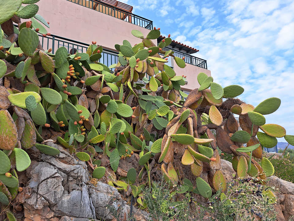 Außenansicht Miramare Resort Hotel & Spa