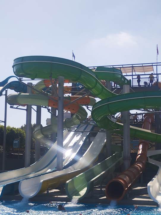 Pool Calyptus Kirman Premium