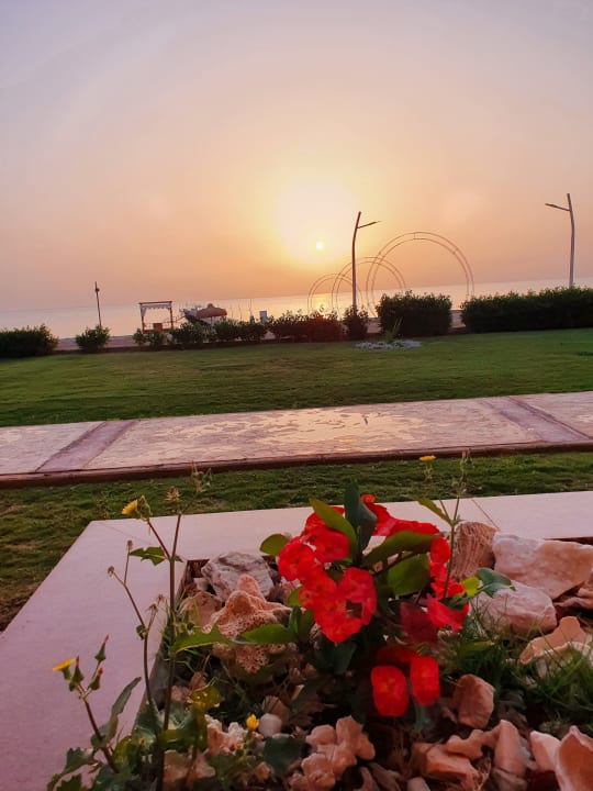 Ausblick Malikia Resort Abu Dabbab