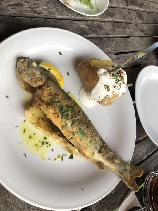 Gastro Almgasthof Reitlehenalm