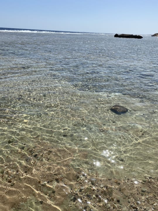 Strand Serenity Alpha Beach