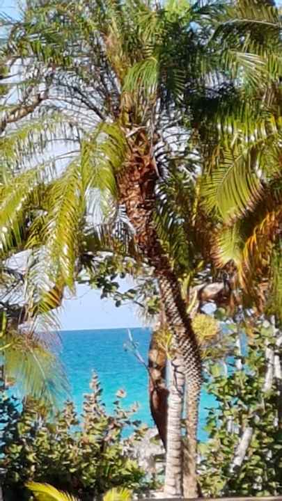 Gartenanlage Sirenis Tropical Varadero