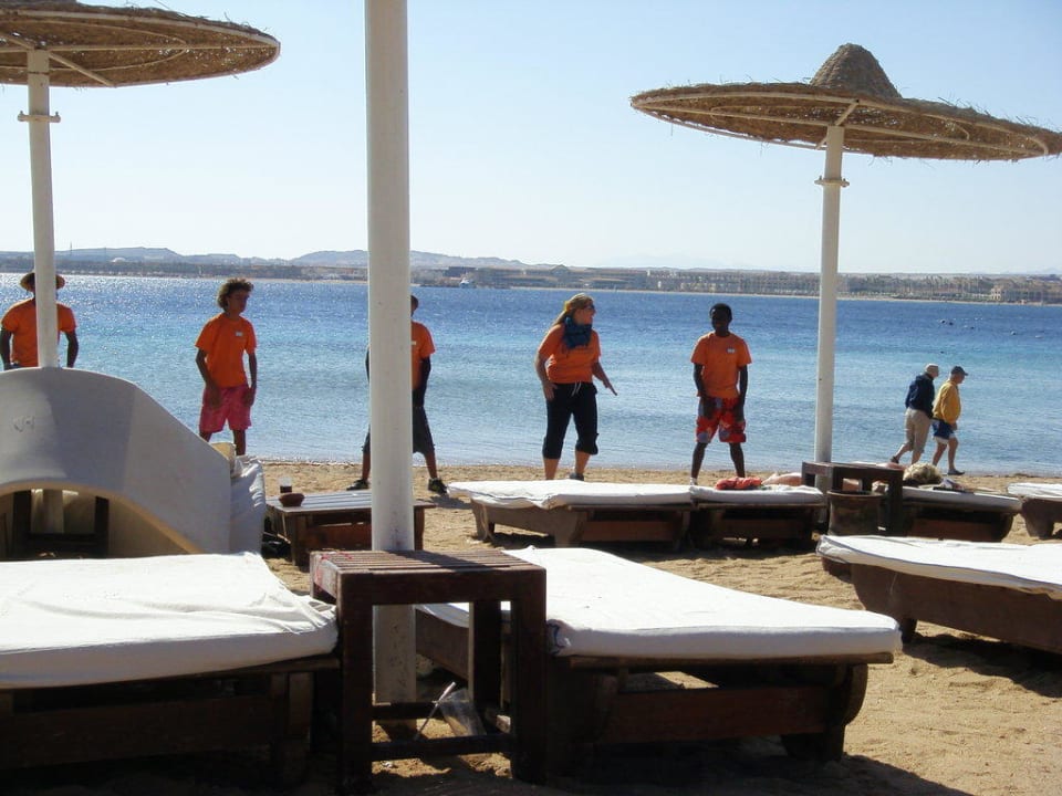 Morgentanz der Animateure Prima Life Makadi Resort
