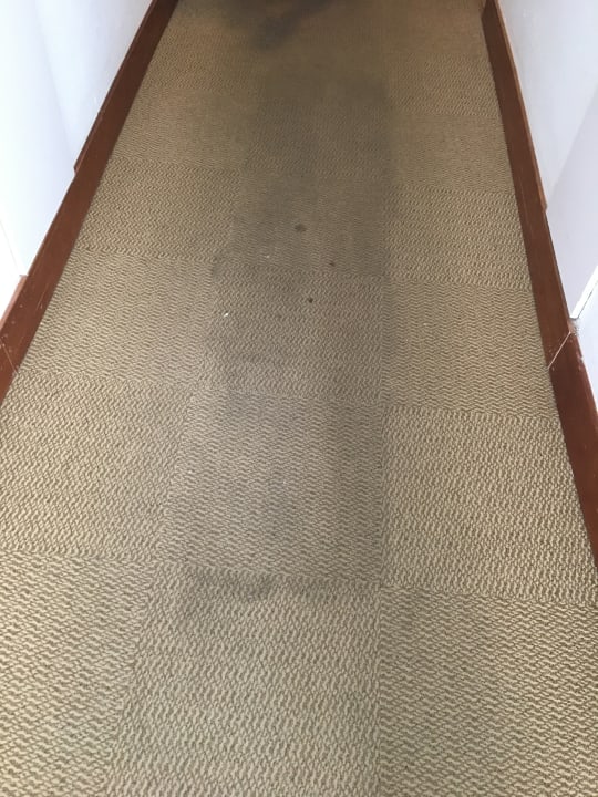 Sonstiges VIVA Eden Lago