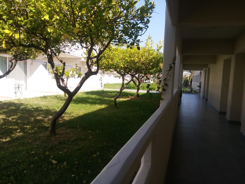 Sonstiges Rodos Princess Beach Hotel & Spa