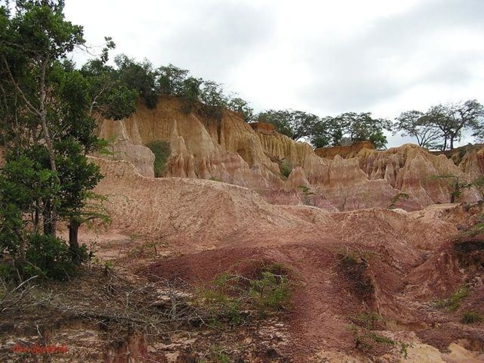 Hell's Kitchen 15 Hotel Traveller's Club