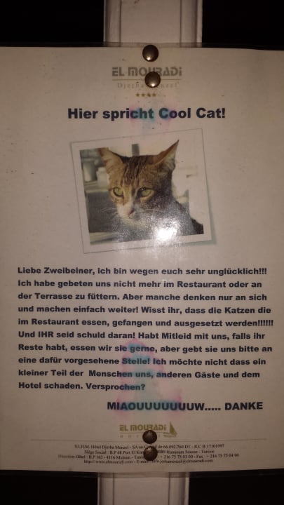 Bitte nicht füttern juckt aber keinen Touristen   Hotel El Mouradi Djerba Menzel