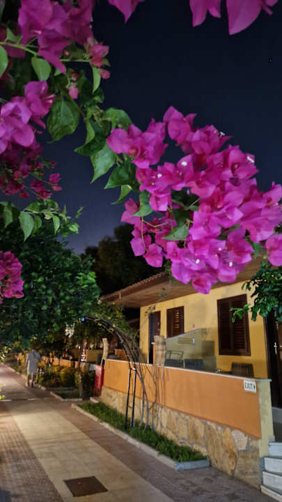 Gartenanlage Özlem Garden Hotel