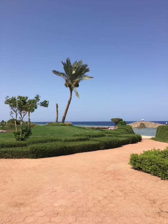 Gartenanlage Three Corners Equinox Beach Resort