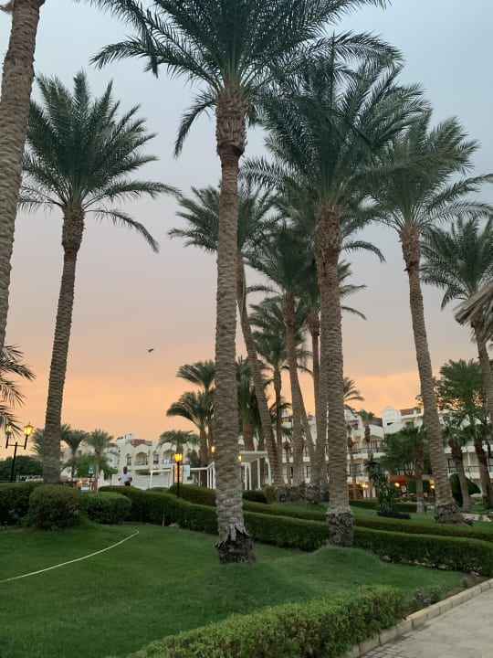 Gartenanlage Regina Resort and Aqua Park Hurghada