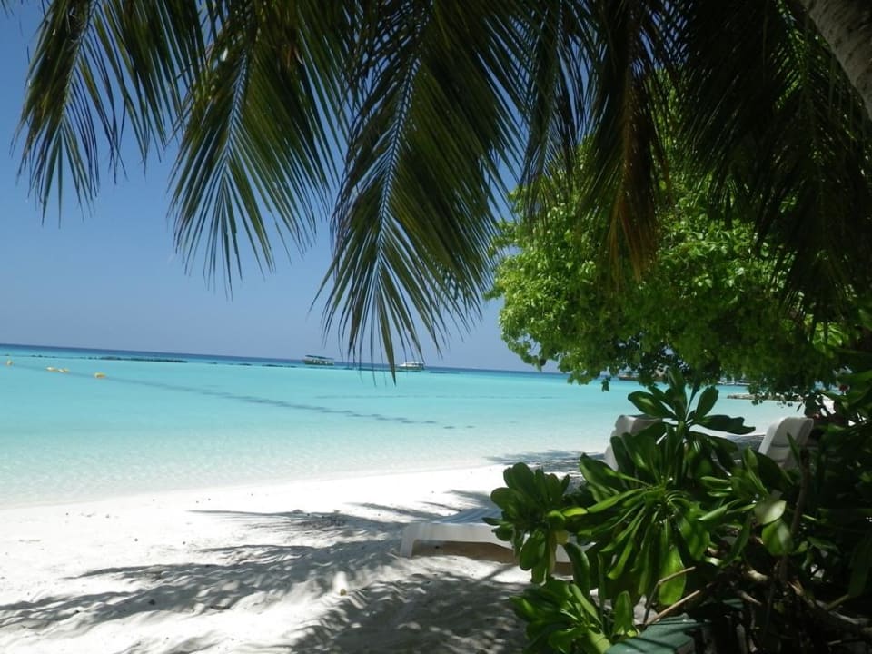 Widok z bungalowa 34 i 35 Summer Island Maldives