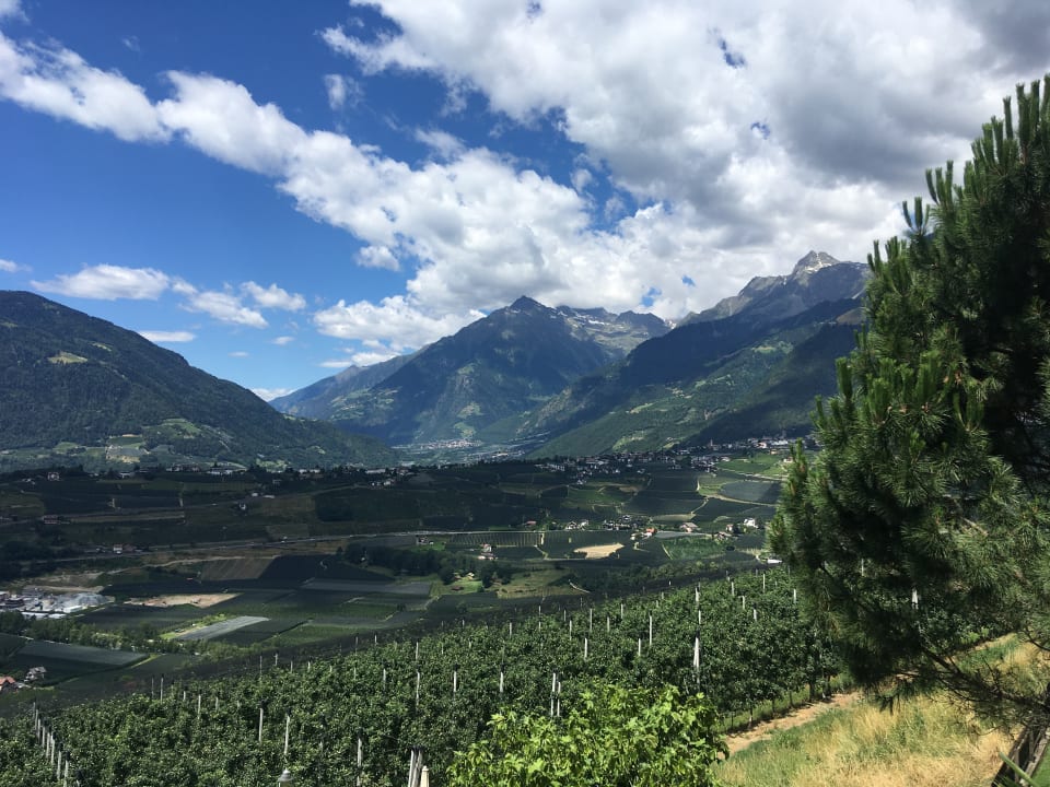 Ausblick Hotel-Garni Nachtigall