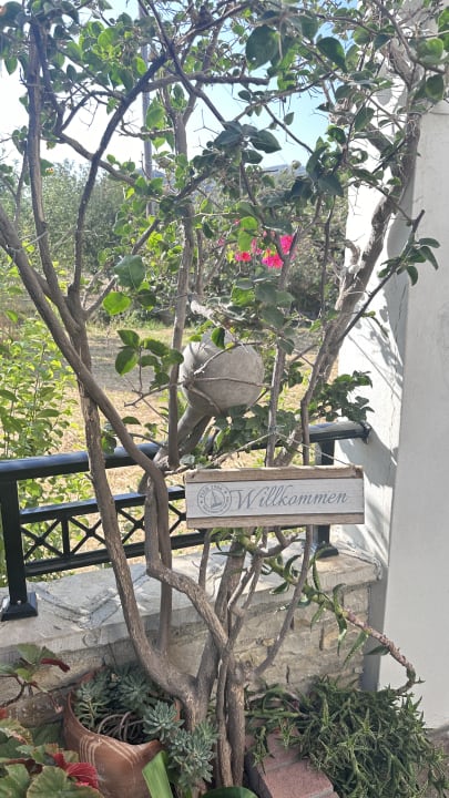 Gartenanlage Hotel Golden Sun