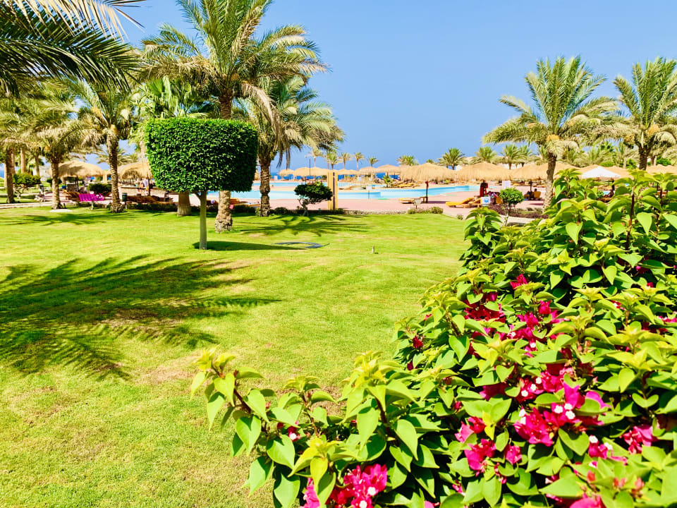 Pool Three Corners Sea Beach Resort