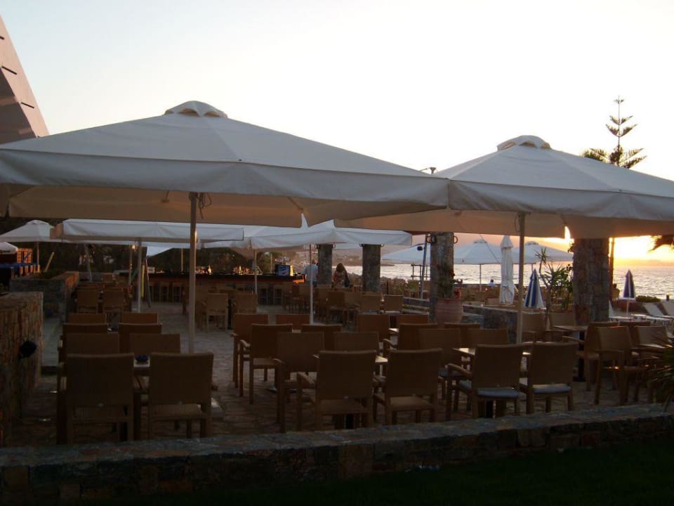 Poolbar allsun Hotel Malia Beach