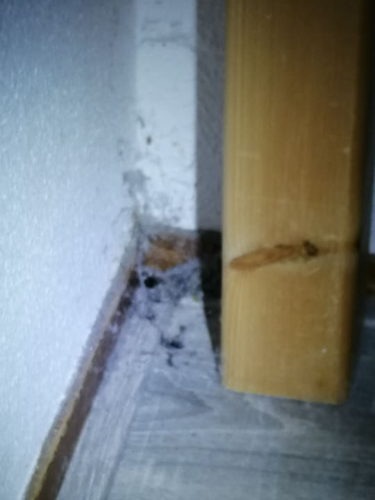 Zimmer Roompot Hunzedal