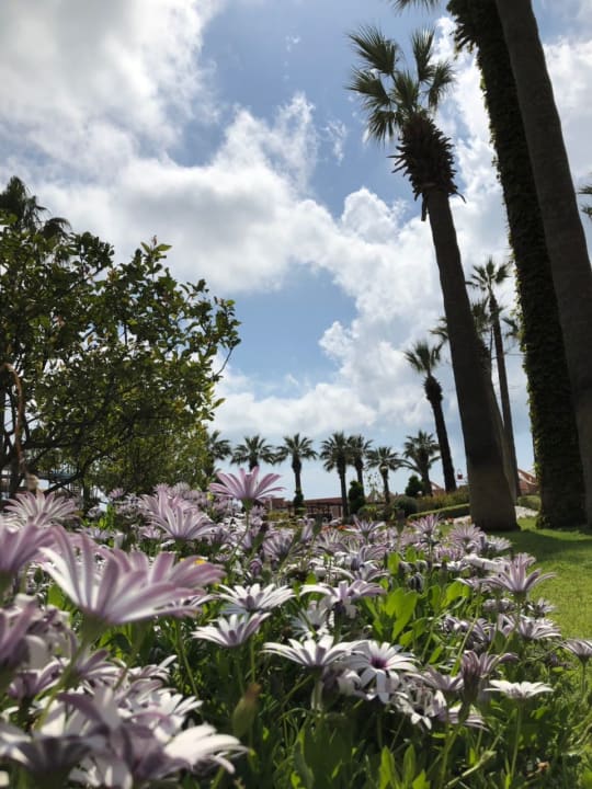 Gartenanlage Megasaray Club Belek