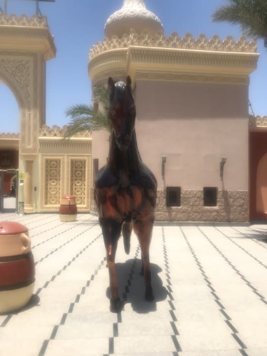 Sonstiges Pickalbatros Alf Leila Wa Leila Resort - Neverland Hurghada