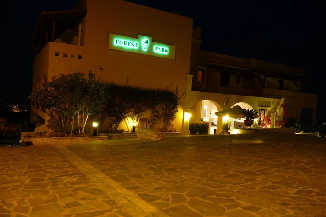 Hotelansicht Haupteingang bei Nacht Hotel Forest Park