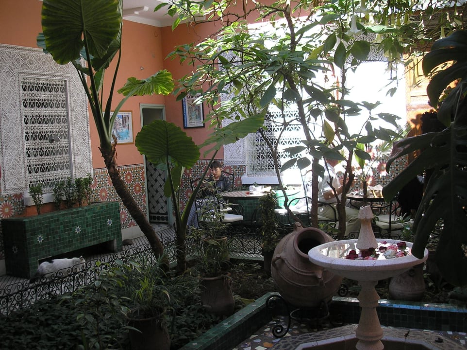 Frühstück im Innenhof Hotel Le Gallia