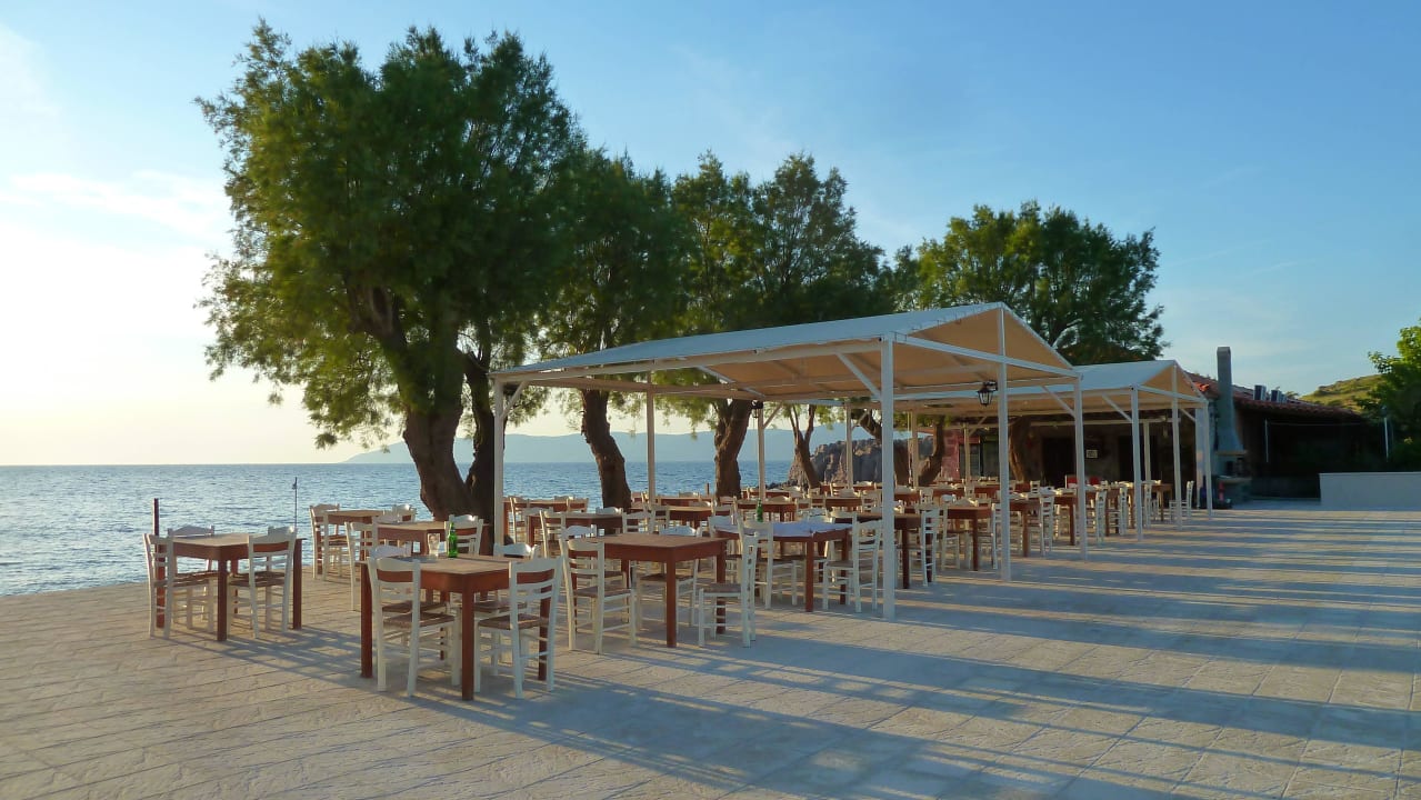 Taverne Aphrodite Hotel