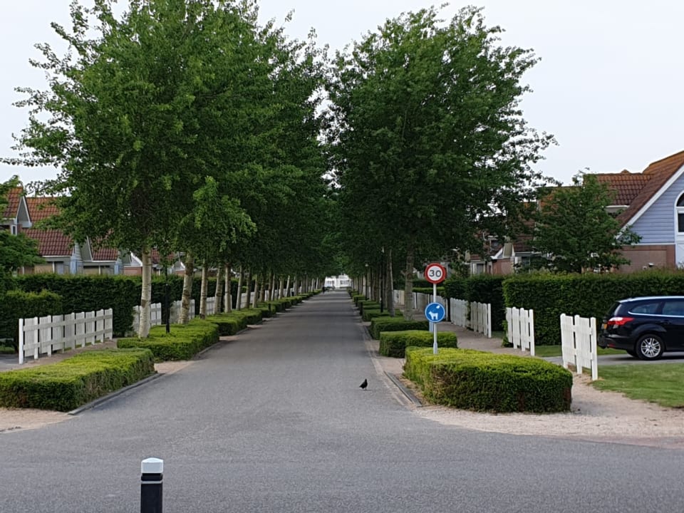 Garten Roompot Noordzee Residence De Banjaard