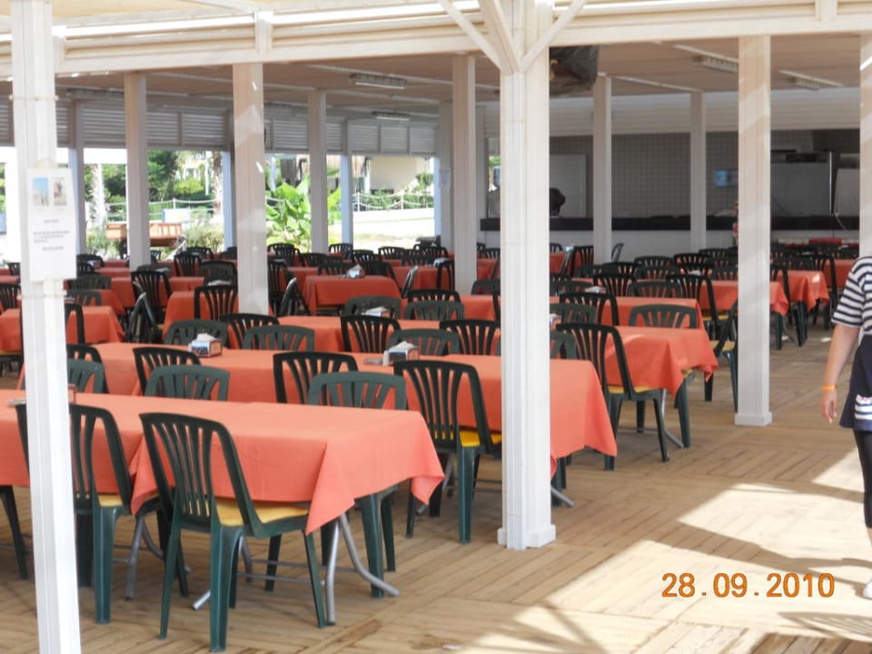 Hier die Top Strandbar Hotel Orfeus Park