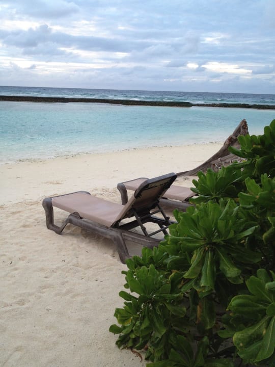 Nordstrand Kuredu Island Resort & Spa