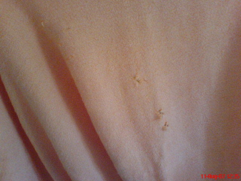 zerlöcherte zudecke Hotel Umag Plava Laguna