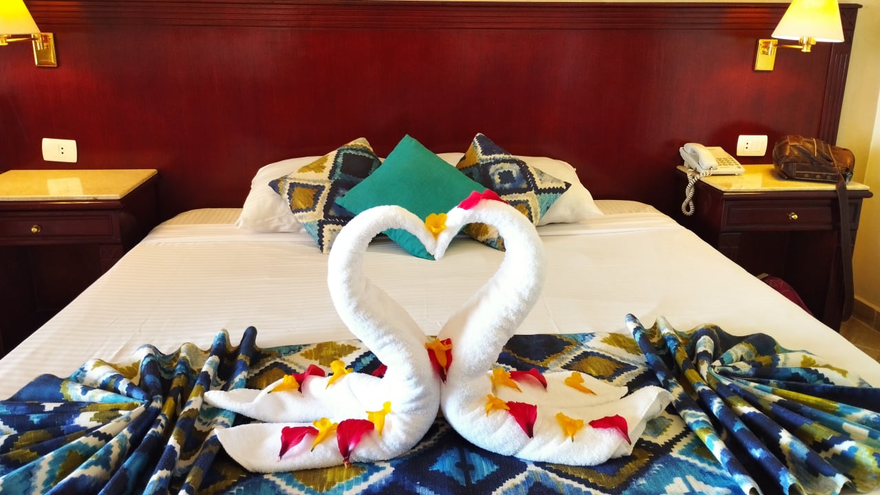 Zimmer Malikia Resort Abu Dabbab