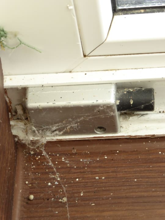 *****-Staub und Spinnen in jeder Zimmerecke  Seehotel Schloss Klink