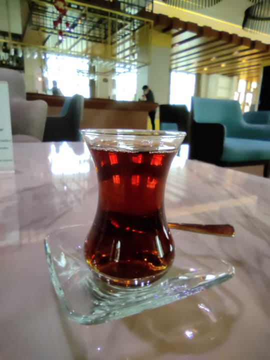 Gastro Acanthus Cennet Barut Collection