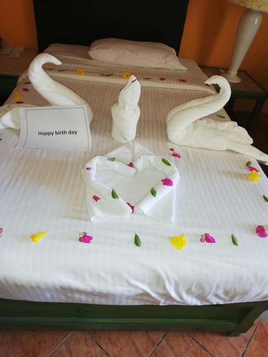 Zimmer Arabia Azur Resort