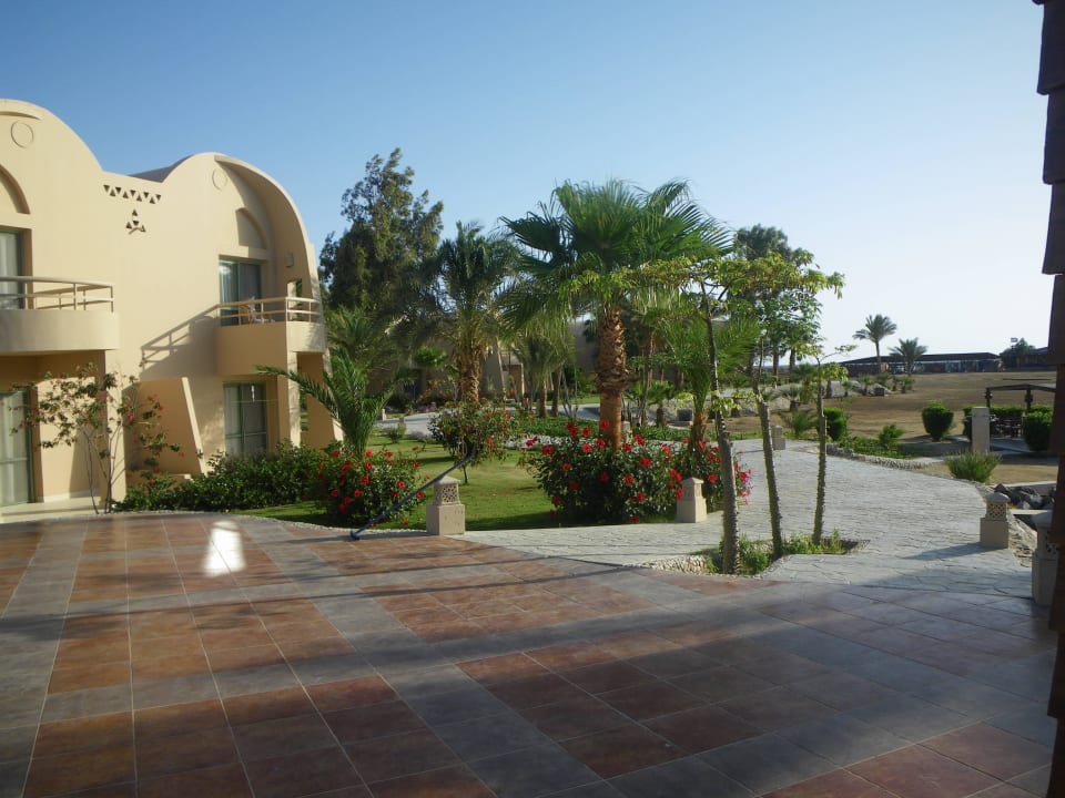 Zimmer mit pool-terrasse-sicht Shams Alam Beach Resort