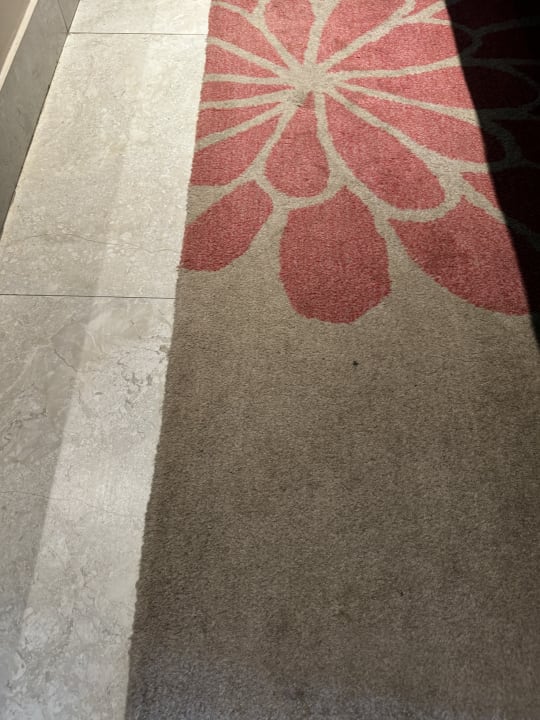 Zimmer Taj Bentota Resort & Spa