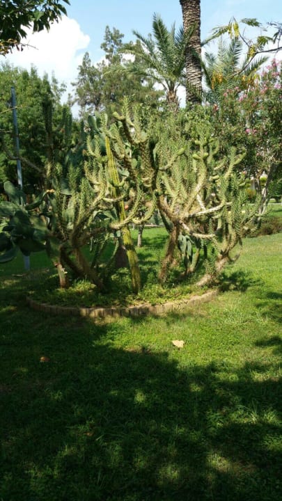 Perfekter Urlaub Labranda Alantur Resort