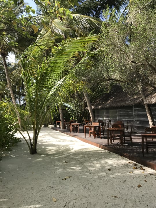 Außenansicht Summer Island Maldives