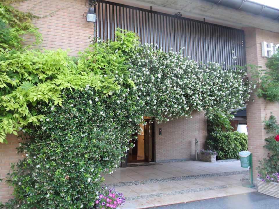 Hoteleingang Hotel Ristorante Ai Gelsi