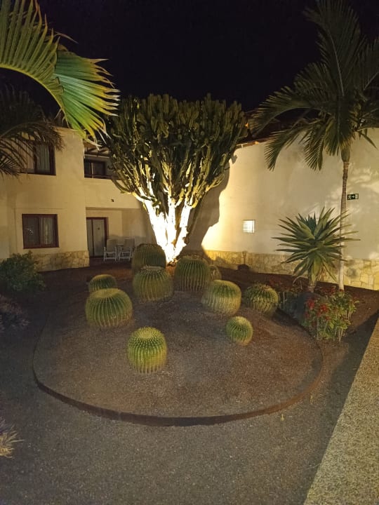Außenansicht Alua Suites Fuerteventura